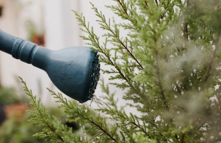 BELEZA COM PROPÓSITO: O NOVO LUXO É CONSUMIR COM CONSCIÊNCIA